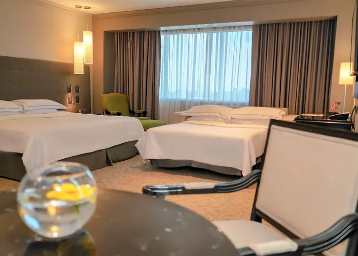 Hotel Barcelo Reforma 5*
